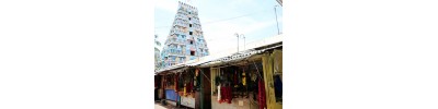 புன்னை நல்லூர் மாரியம்மன் - தமிழ்நாடு